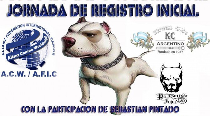 Imagen destacada del artículo «Registros en Jujuy»